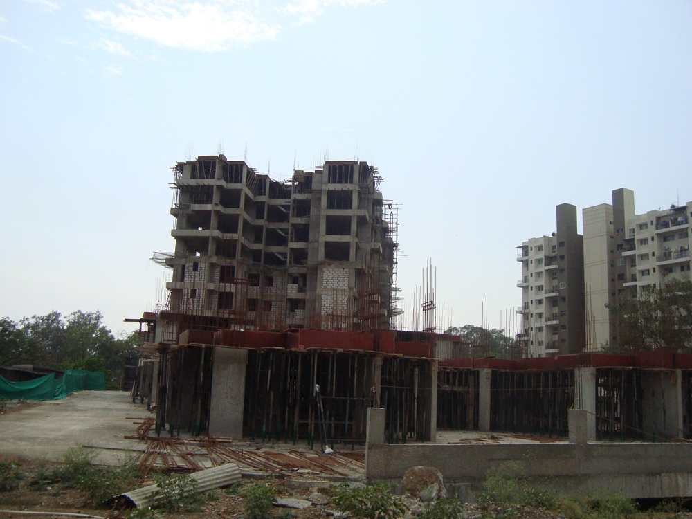 msr seasons Construction Status May 25