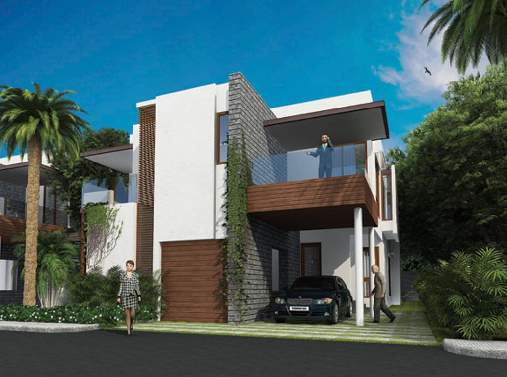 Images for Elevation of ND Around The Mangoes