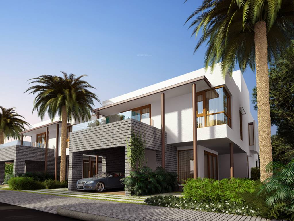 Images for Elevation of ND Around The Mangoes