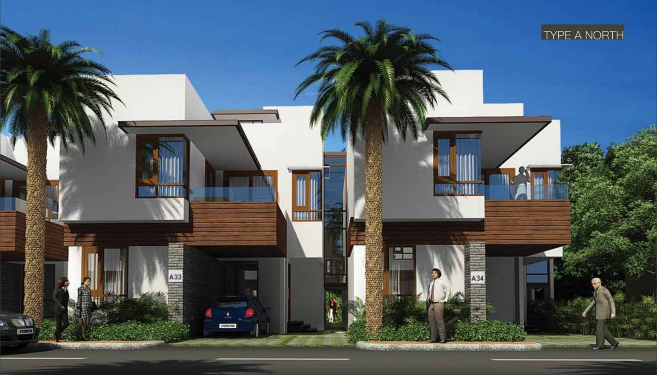 Images for Elevation of ND Around The Mangoes