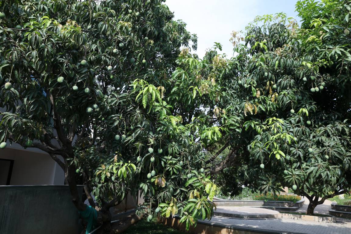 Images for amenities