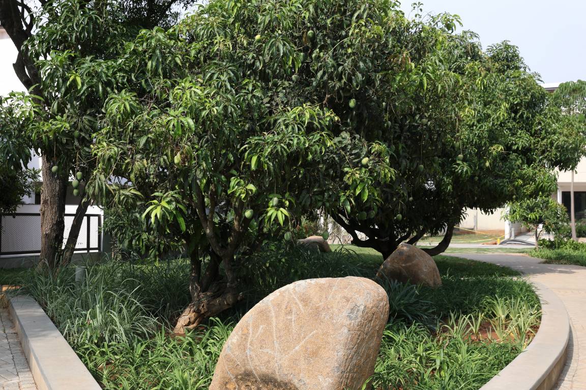 Images for amenities