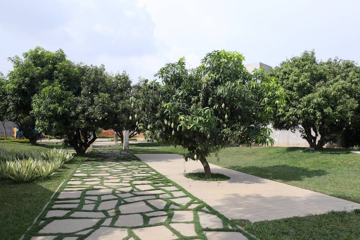 Images for amenities