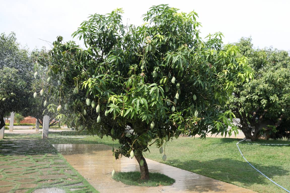 Images for amenities