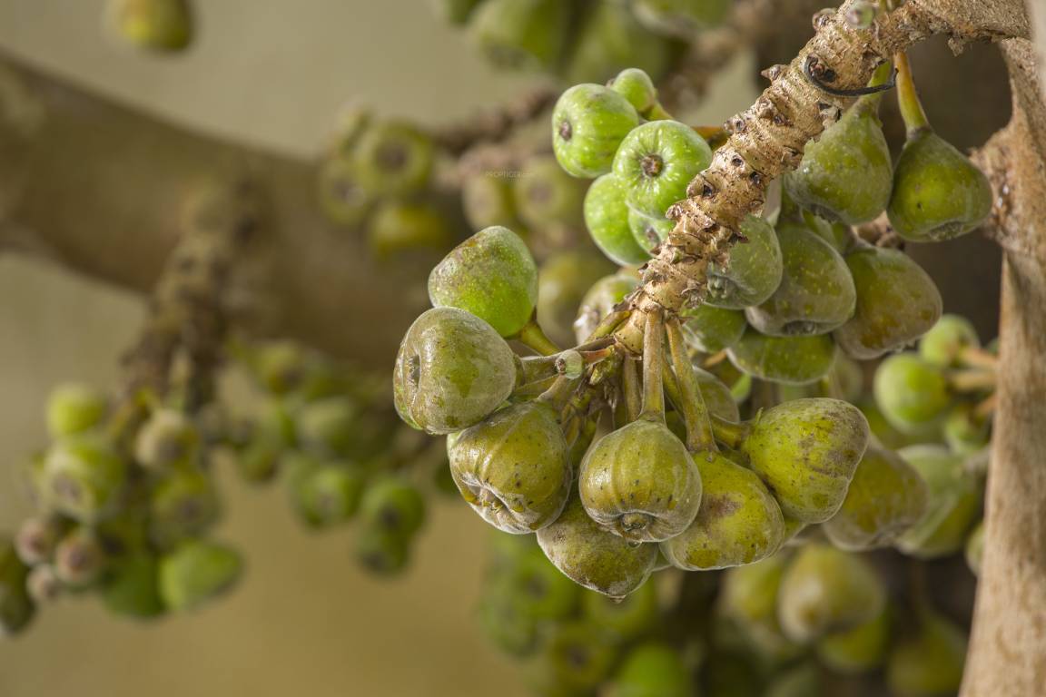 Images for amenities