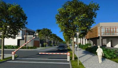 Images for Main Other of ND Around The Mangoes