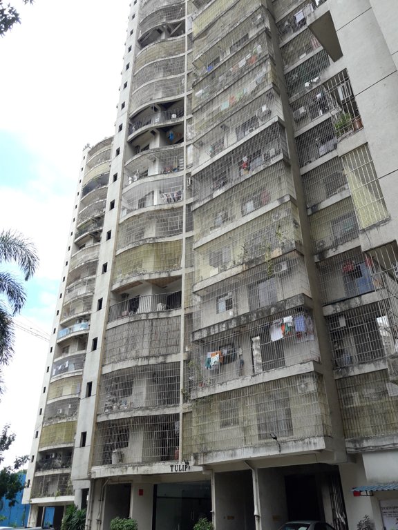  world phase 3 Elevation