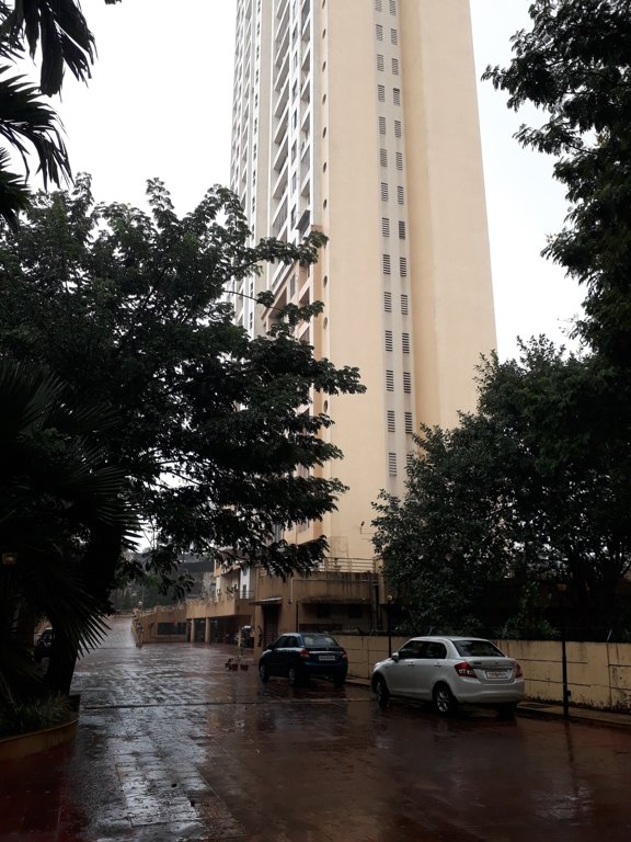 garden Paved Compound