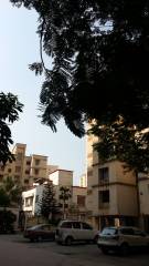 Project Image Project Image