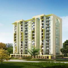 Project Image Project Image