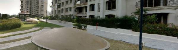 Others kingdom Others