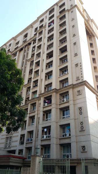  chelsea Images for Project