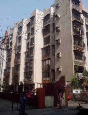 red-rose Elevation Elevation