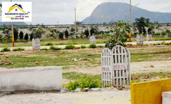 Images for Main Other of Maxworth Souparnika