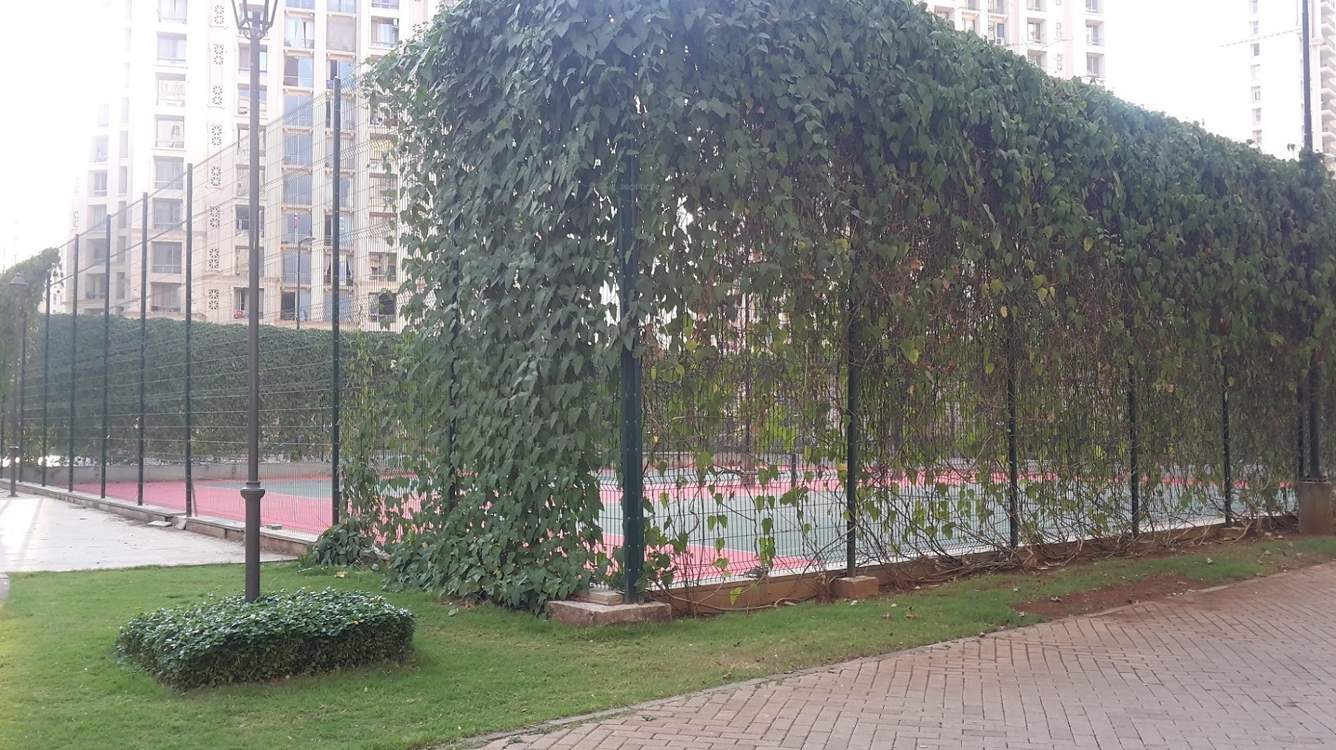  valentina Images for amenities