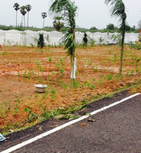 Images for Main Other of VLV Hayagriva Nagar Images for Main Other of VLV Hayagriva Nagar