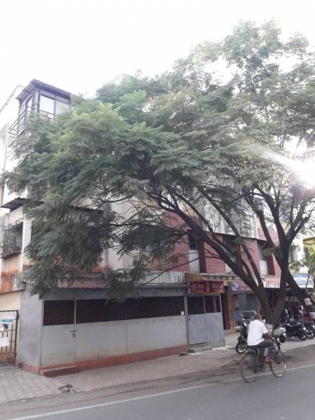  p-paradise Elevation