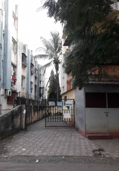  p-paradise Elevation