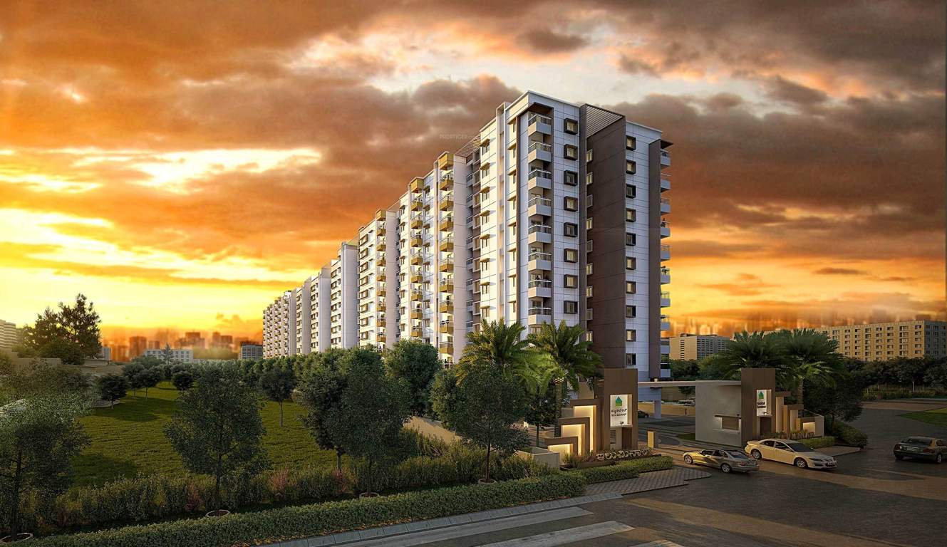  iluminar Images for Elevation of Habitat Iluminar