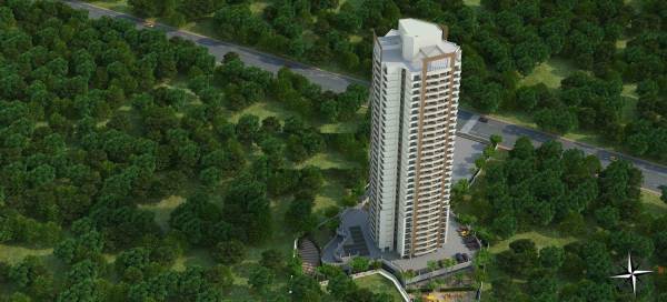 Elevation amizra Elevation