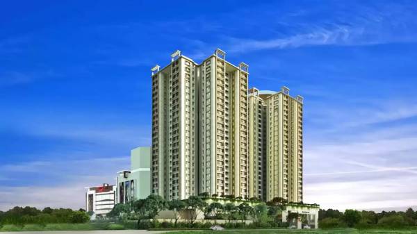  campus-court Elevation