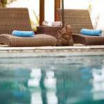 Images for Amenities of 5 Star Royal Majestic Images for Amenities of 5 Star Royal Majestic