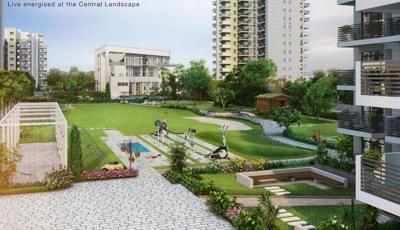 Landscape Garden and Tree Planting 101 Landscape Garden and Tree Planting