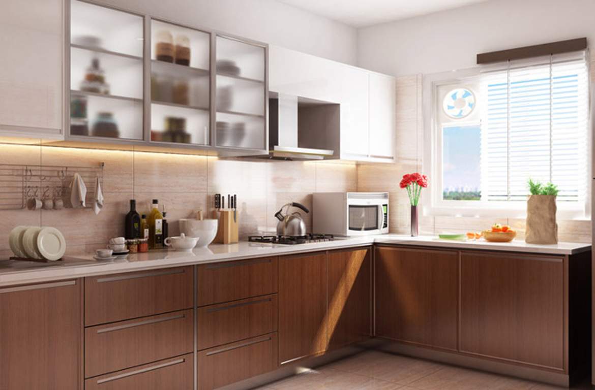 Images for Main Other of Terra Alpha Land The Celest