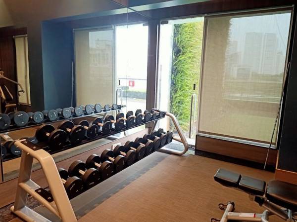 Gymnasium paloma Gymnasium