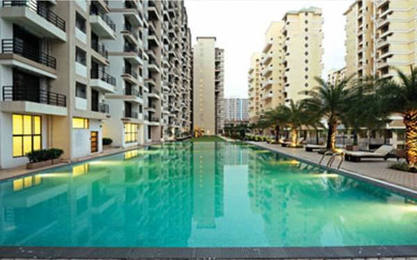 Images for Amenities of Clan Today Blox