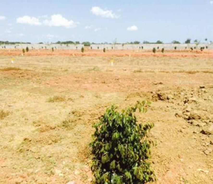 Images for Main Other of Bhavahara Hanuman Valley