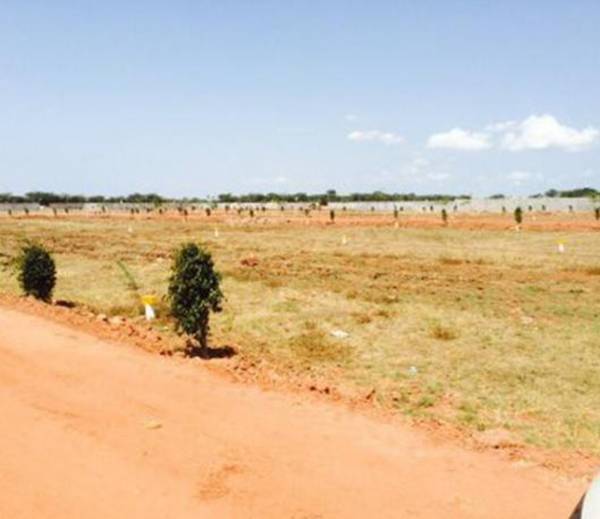 Images for Main Other of Bhavahara Hanuman Valley