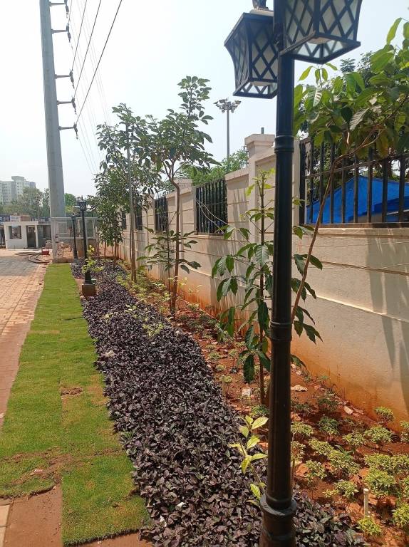  spring meadows Elevation