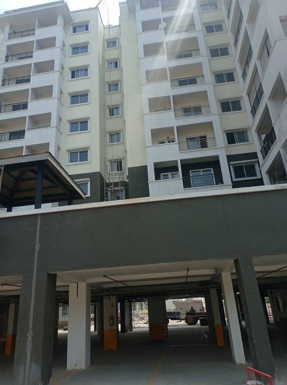  spring meadows Elevation