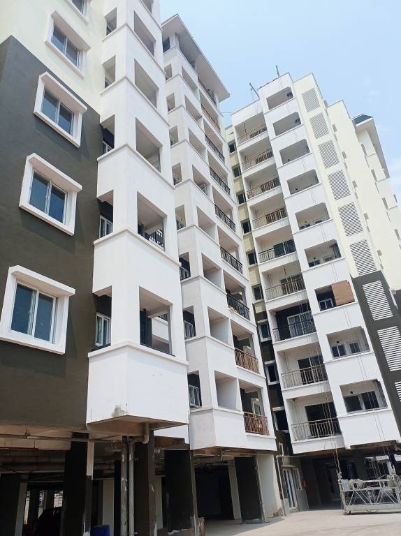  spring meadows Elevation