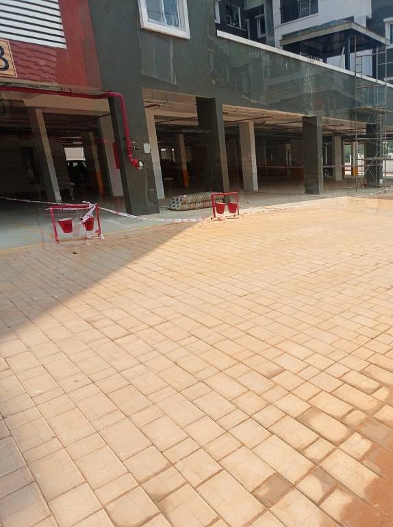  spring meadows Elevation