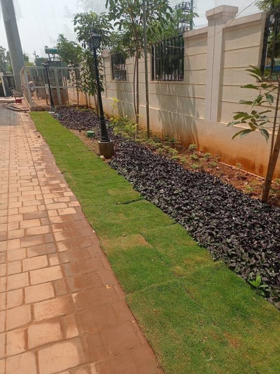  spring meadows Elevation