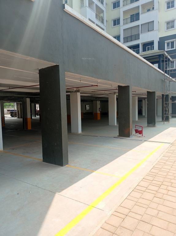  spring meadows Elevation