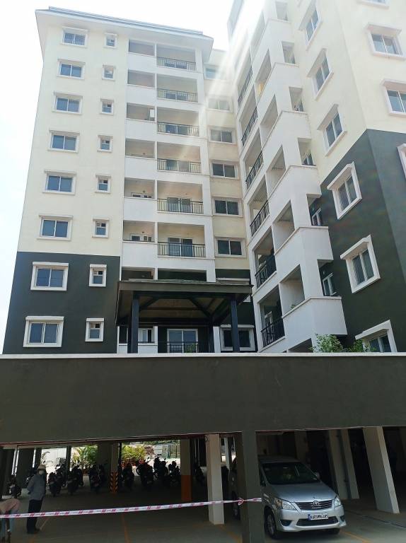  spring meadows Elevation