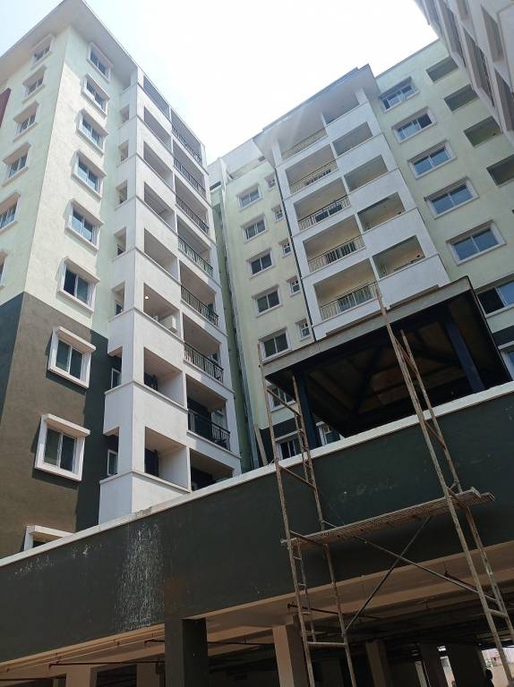  spring meadows Elevation