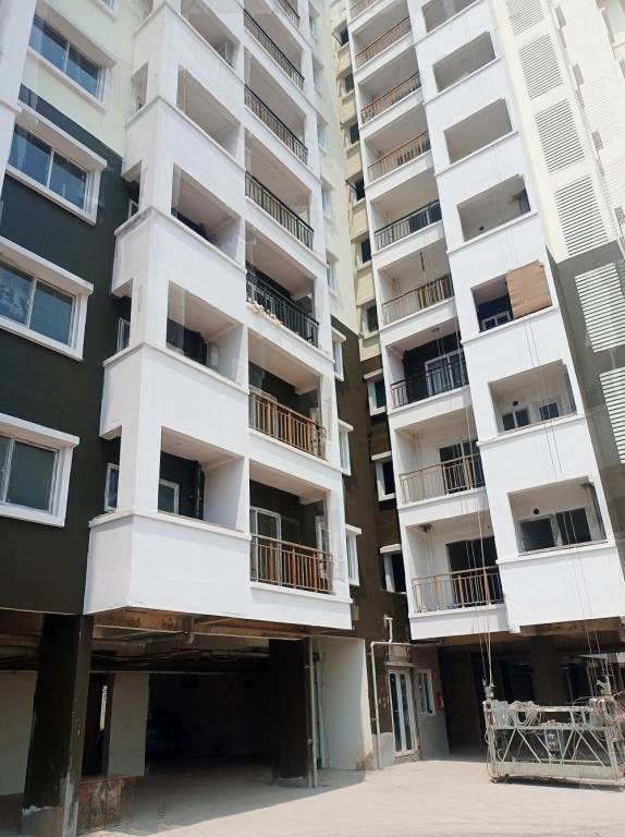  spring meadows Elevation