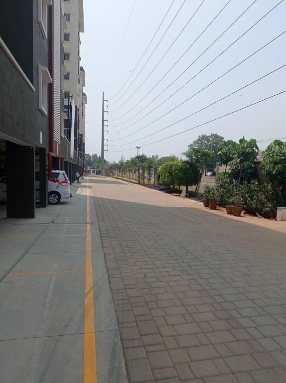  spring meadows Elevation