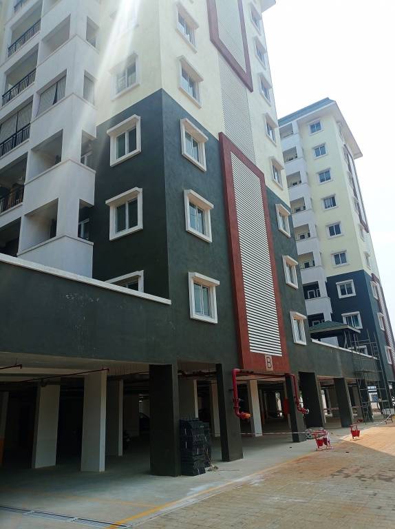  spring meadows Elevation