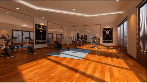  spring-meadows Gymnasium