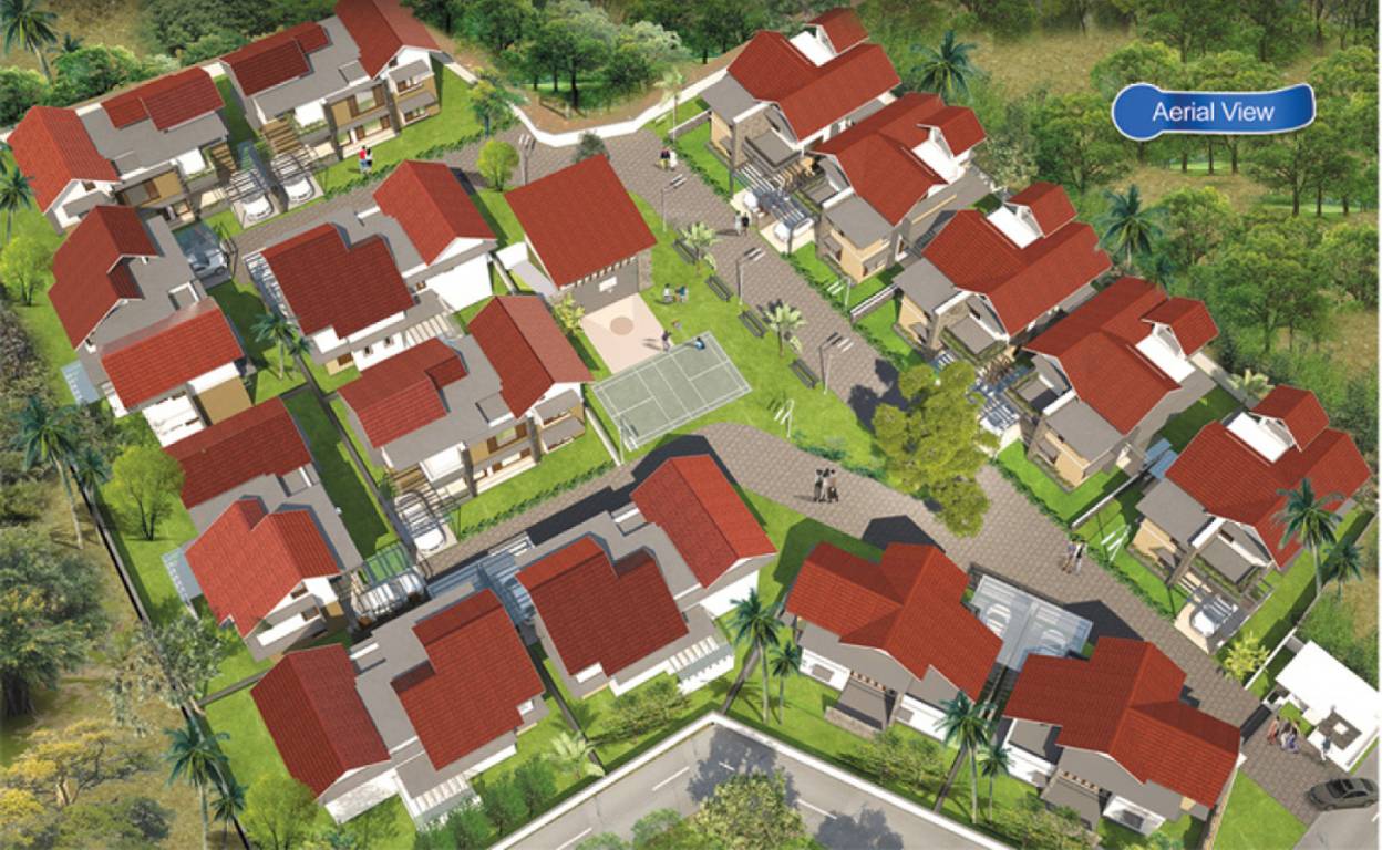 Images for Elevation of Fruitful Purple Grass