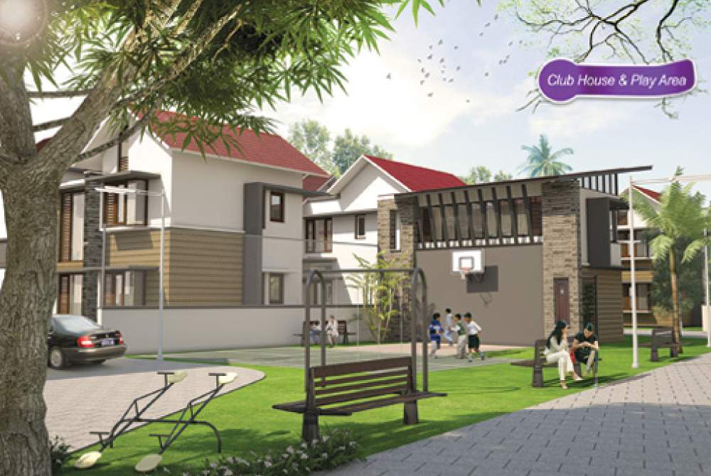 Images for Amenities of Fruitful Purple Grass