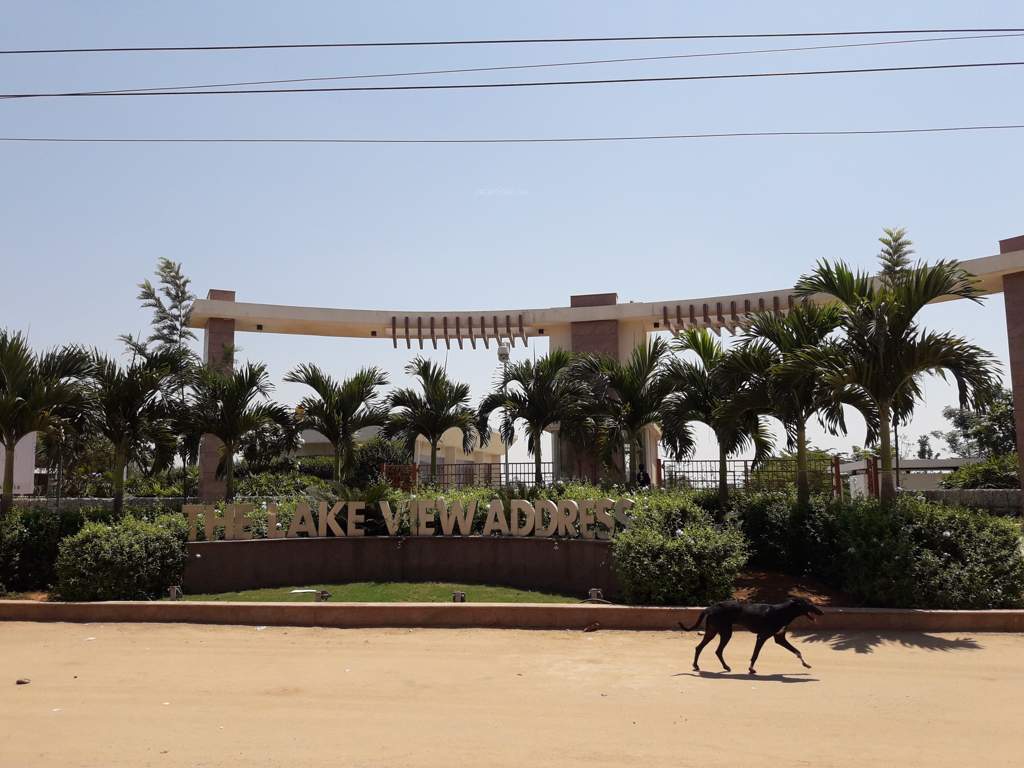 the lake view address Images for Elevation of The Address The Lake View Address