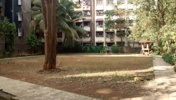  complex Landscape Garden and Tree Planting