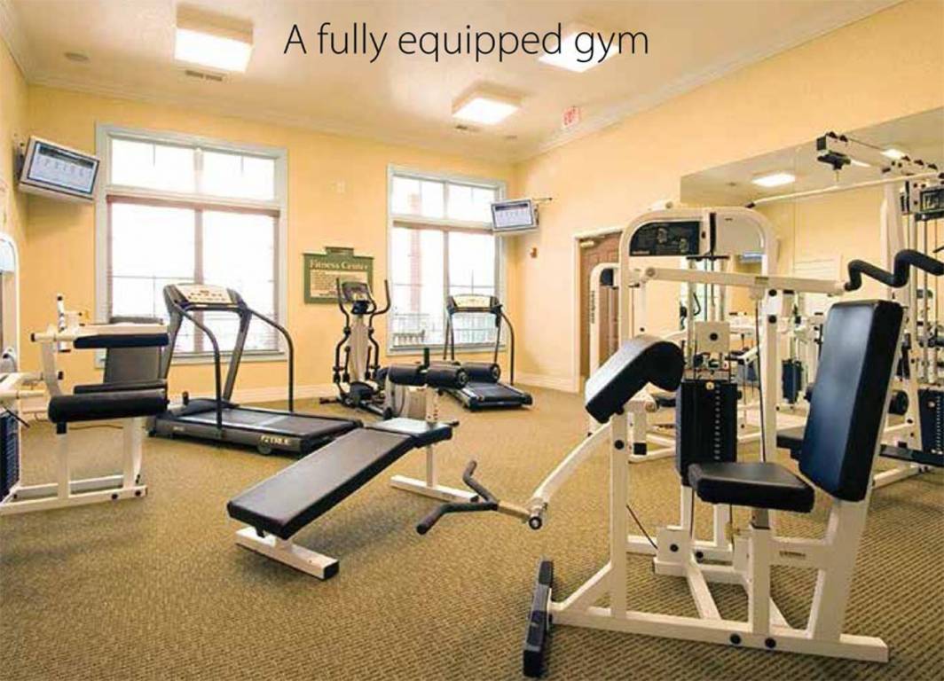 Images for Amenities of Ceear The Big Tree