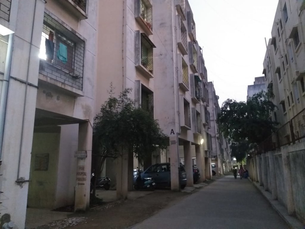  florida county Car Parking